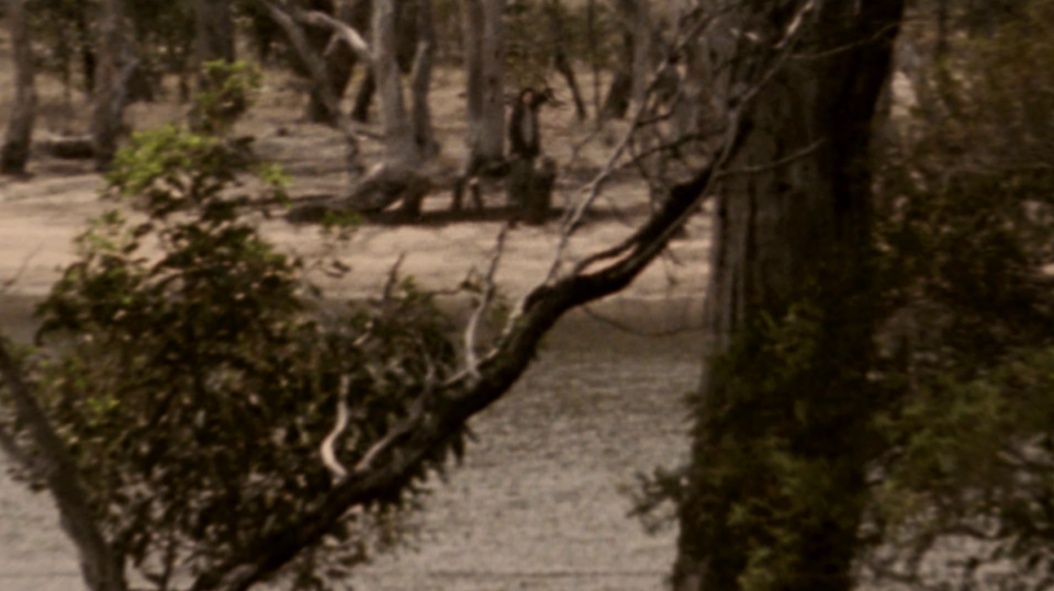 'Lake Mungo' and the Unsetting Horror of Sorrow